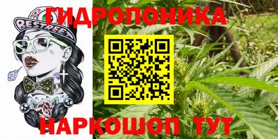прущие грибы Можга