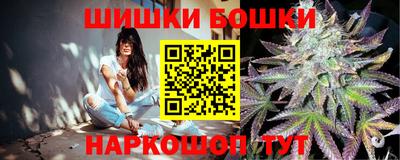 прущие грибы Можга