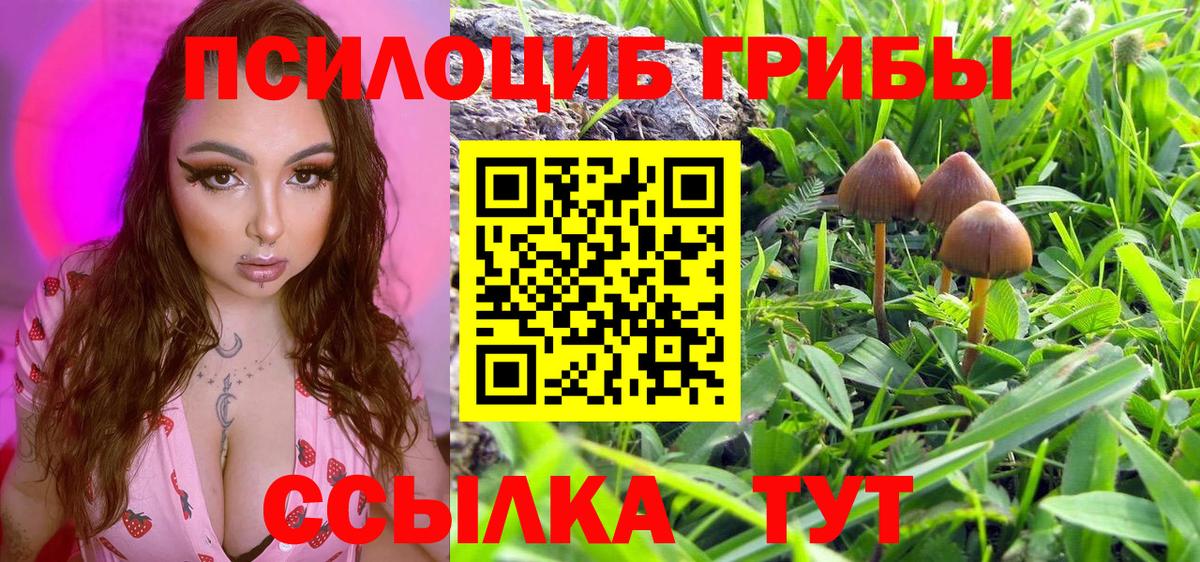 Галлюциногенные грибы GOLDEN TEACHER  Псилоцибиновые грибы прущие грибы  Тула  Вход с VPN 